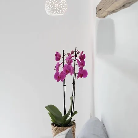 Ester Naxos Kastrákion