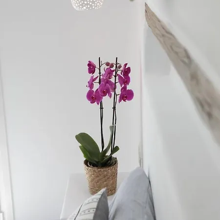 Ester Naxos Kastrákion