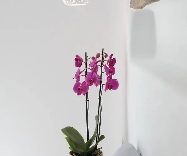 Ester Naxos Kastrákion