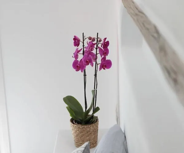 Ester Naxos Kastrákion